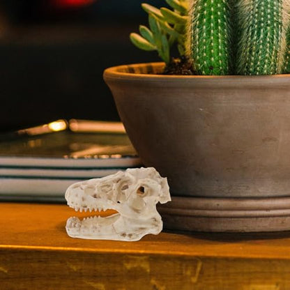 Resin Dinosaur Skull Model Realistic for Office Display Small Decoration for Terrariums Halloween Decor and Anatomy Teaching Tool