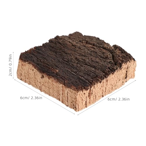 4pcs Cork Terrarium Background: Terrarium Bark Background Cork - Natural Bark Backdrop - Reptile Climbing Wall Accessories 2.36x2.36 - size: 6.00X6.00X2.00CM