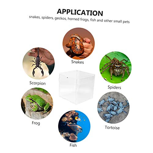 Toddmomy Acrylic Reptile Breeding Box Transparent Design Climbing Container for Turtles Spiders Snakes and Crabs Spacious Habitat for Feeding and Observation