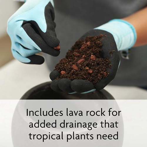 Miracle-Gro Tropical Potting Mix, For Container Plants, Use with Snake Plants, Spider Plants, Pothos, Monstera, 6 qt., 3-Pack - size: 3 Pack, style: Potting Mix