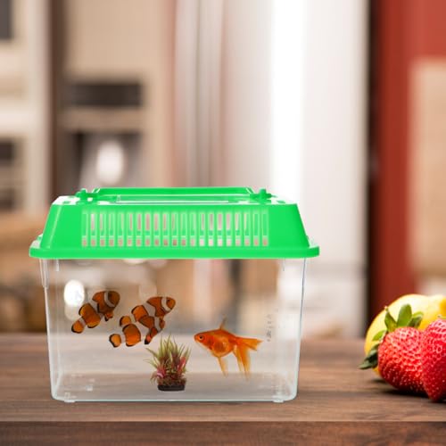 Ipetboom Mini Fish Tank: Plastic Goldfish Aquarium Habitat for Shrimp Turtle Shrimp - Small Reptile cage with Handle, 5.9x3.5x4.3 Inches (Random Color)