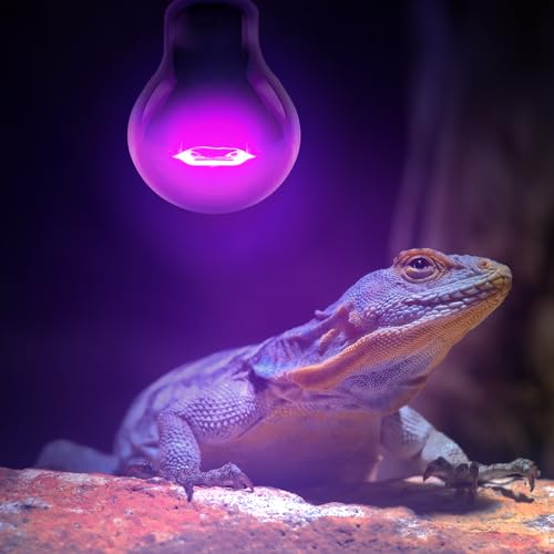 Leoterra 50w Reptile UVA Incandescent Basking Spot Light Bulbs and 50w Incandescent Night Black Heat Lamp Bulbs Combo Pack, for Bearded Dragon Snake Lizard Heating Lighting Use.120V E26 Base - style: 50W