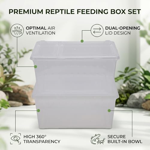 Reptile Feeding Box, Transparent Portable Plastic 2PCS Breeding Transport Box for Lizard Bearded Dragon Spider (L)