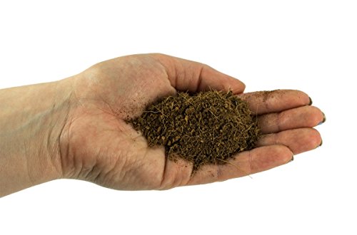 Josh's Frogs Coco Block Fine Coco Fiber (5 kg/38 quarts) - size: 38 Quart Block