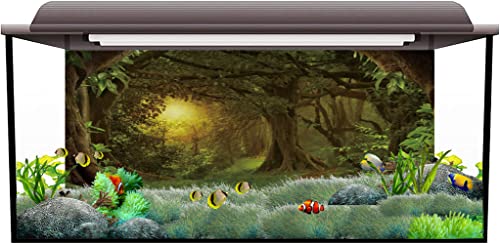 AWERT 48x20 inches Psychedelic Forest Terrarium Dim Old Trees Woodland Reptile Habitat Green Rainforest Aquarium Vinyl Background - size: 48" x 48"