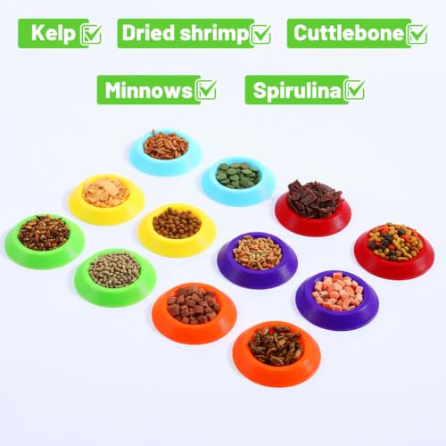 12 Pack Isopods and Springtails Feeding Dish Mini Colorful Feeder Bowls for Dubia Roaches, Superworms, Small Insects & Dwarf Invertebrates, Terrarium Enclosure Bowl for Reptile Food & Supplements