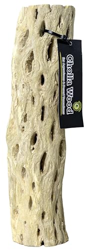 Galápagos (05271) Cholla Wood - Natural Aquarium & Terrarium Decoration for Fish Tanks, Reptile Tanks, and Bird Perches, 12”, Natural