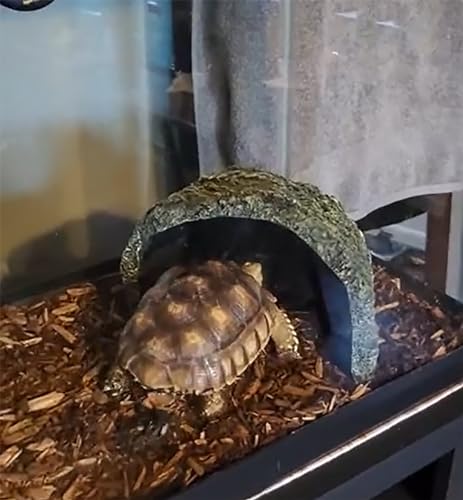 OMEM Resin Reptile Hideout: Extra Large Simulation Rock Cave for Ball Pythons, Lizards, Large Reptile Evasion -Aquarium Turtle Fish Tank Landscaping