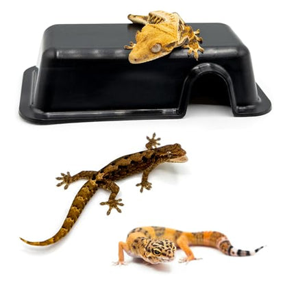 Pangea Reptile Hide Box (A - Mini 5.5"x3"x1.5") - Fits Most Standard Shoe Case Rack Units, Usable as Snake Tank Accessories, Good for Hatchling Ball Python, Boas, Baby Leopard Gecko, Lizards - size: A- Mini