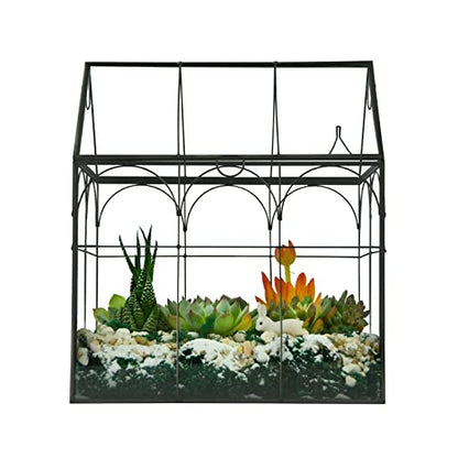 Large Tall Plant Greenhouse Terrarium Glass with Lid, 8.7"X5.9"X10.6" Inches Indoor Tabletop Orchid Succulent Cacti Terrarium Kit NA (House Black A)
