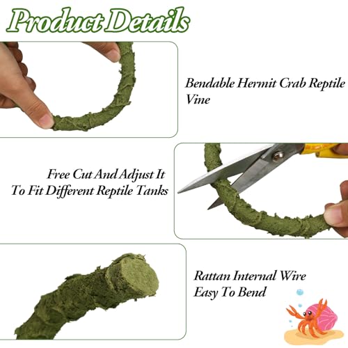 2Pcs Hermit Crab Climbing Toys Set, 39.4 in Bendable Hermit Crab Supplies, Reptile Vine Plus Reptile Hide Cave,Terrarium Accessories for Gecko Frogs Snake Habitat - color: Cave