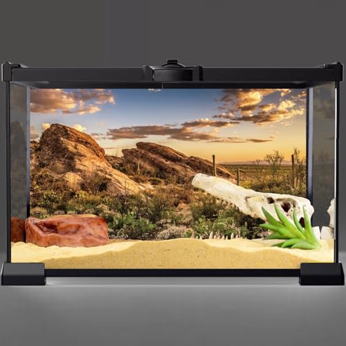 AWERT Reptile Habitat Background Blue Sky Oasis Cactus Sun and Desert Terrarium Background 48x24 inches Durable Polyester Background - size: 48x24 inches