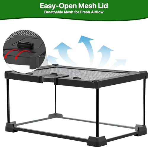 Reptile Terrariums Mini Glass Tank 12" x 8" x 6" Habitat, Top-Opening Mesh Lid with Latch, 360° Clear View, Ventilated Enclosure for Jumping Spiders, Tarantulas, Isopods & Froglets