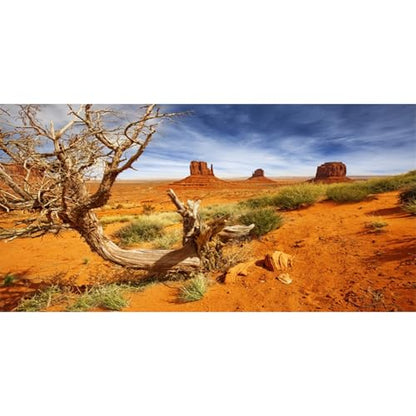 AWERT 72x18 inches Reptile Habitat Background Orange Desert Terrarium Background Durable Polyester Background - size: 72x18in/180x45cm