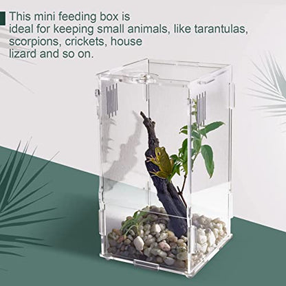 BETAZOOER Acrylic Mini Reptile Tank Habitat Transparent Terrariums with Locking Latch Suitable for Tarantula Isopod Roach Invertebrates (8''x6''x14'') - size: Large