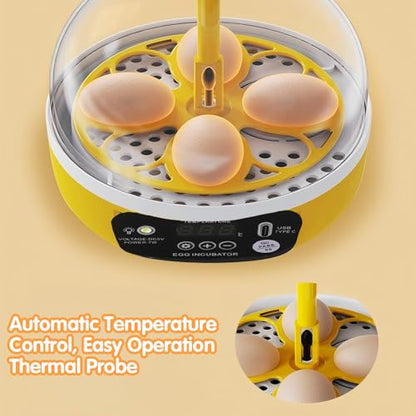 Tissting 4 Eggs Mini Incubator with Transparent Lid,7W Automatic Temperature Humidity Control,Household Small Poultry Hatching Machine,for Chickens Ducks Pigeons (Auto Turning) - color: 4 Eggs Auto Turning