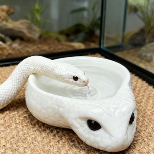 Reptile Water Dish - Snake Water Bowl, Gecko Food Cups, Crested Gecko Feeding Dish, Tortoise Food Bowl, Stable Resin Design for Small Reptiles, Perfect for Terrariums and Enclosures (White) - color: white