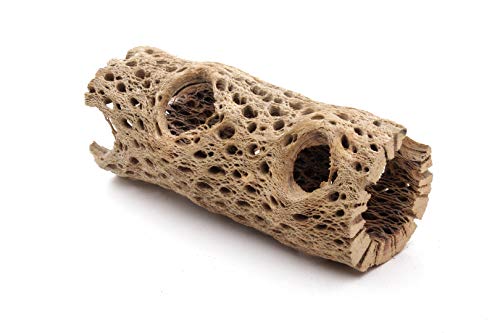 3 to 48 Inch All Natural Teddy Bear Cholla Wood Extra Hollow Large Untreated Organic Aquarium Driftwood Decoration Chew Toy Shrimp Crab Multi-Quantity - size: 1 Piece, 6 inch