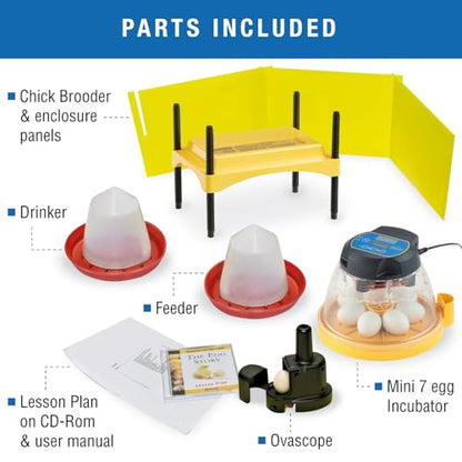Brinsea Mini II Advance Egg Incubator Classroom Kit Brooder Pack for Students with Lesson Plan, Egg Scope, EcoGlow Brooder, Plastic Chick Enclosure, Feeder and Drinker for Hatching Chicks, Ducklings - size: Classroom Kit, 7 Eggs