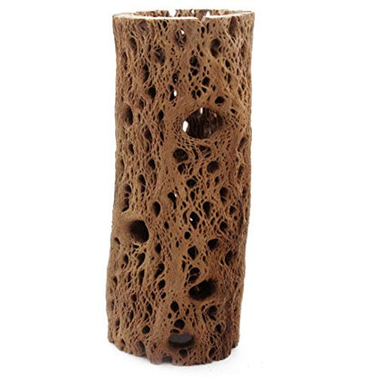 3 to 48 Inch All Natural Teddy Bear Cholla Wood Extra Hollow Large Untreated Organic Aquarium Driftwood Decoration Chew Toy Shrimp Crab Multi-Quantity - size: 1 Piece, 6 inch