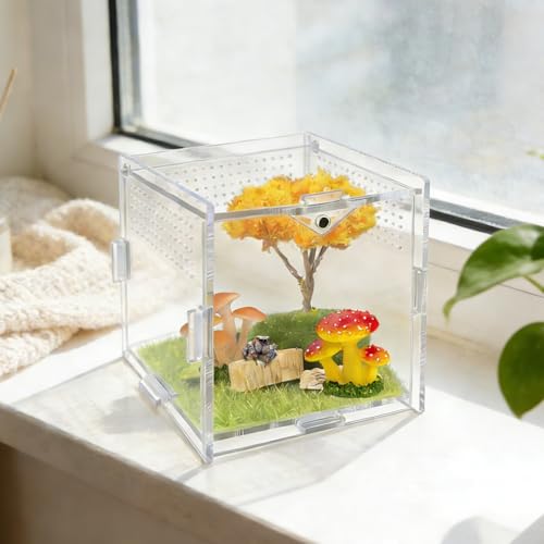 Jumping Spider Enclosure, 4"x4"x4" Acrylic Habitat Terrarium - Top Opening with Ventilation & Feeding Holes, Small Pet Tank for Jumping Spiders, Snails, Insects, Isopods