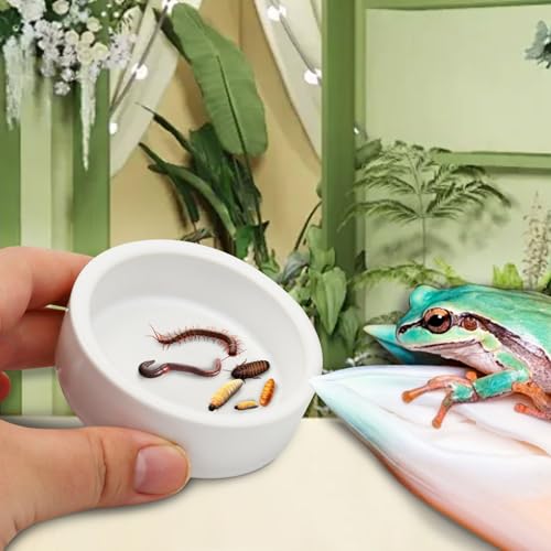 Escape-Proof Reptile Food Dish Bowl, Ceramics Small Animal Bowls for Lizard Frog Snake Turtle Gecko Hamster Food Bowl for Anti Living Foods Escape, Reptile Water Dish (L,3.93inches) - size: L,3.93inches