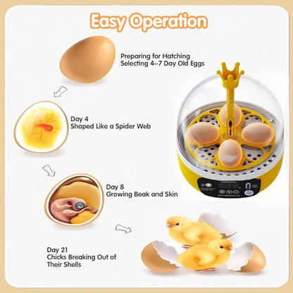 Tissting 4 Eggs Mini Incubator with Transparent Lid,7W Automatic Temperature Humidity Control,Household Small Poultry Hatching Machine,for Chickens Ducks Pigeons (Auto Turning) - color: 4 Eggs Auto Turning