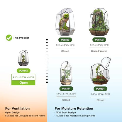 NCYP Small No Door Geometric Terrarium - 4.1" x 3.5" x 5.9" Miniature Irregular Glass Terrarium Planter for Mini Succulent Air Plants - Tabletop Garden Container, Black (No Plants) - size: 4.1"x3.5"x5.9"