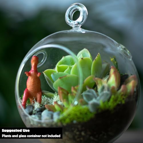 Cute Farms Terrarium Starter Kit | Moss, Vermiculite, Soil, Plant Food, Brush, Build and Care Guide | DIY Succulent Terrarium Kit for Adults and Kids - style: Terrarium Kit (No Glass)