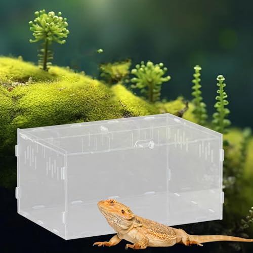 Reptile Breeding Box Acrylic Terrarium Container with Ventilation Holes for Snakes Turtles Chameleons Frogs Geckos Small Animal Habitat- 30x20x15cm