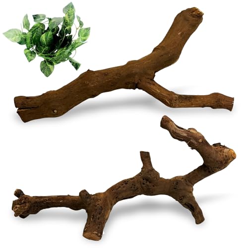 VCEPJH Snake Climbing Branch, 2Pcs Reptile Wood Natural Cork Log Tank Accessories Tree Trunk for Chameleon Bearded Dragon Gecko Snake Frog Spider(11.8 inches) - size: Grape Wood (S:11.8"-2pcs)
