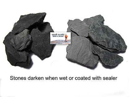 Natural Slate Stone 1 to 3 Inches - USA Sourced and Packaged for Aquascaping Aquariums, Terrariums, Paludariums, Reptile Enclosure, Wargaming, Models, Mosaic Art, Miniature Fairy Gardens (5lbs Grey) - style: 5lbs grey