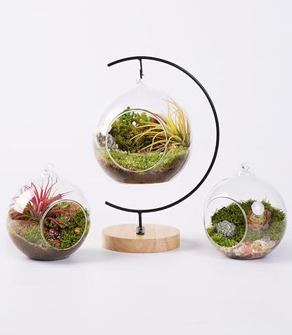 LUCKYRUNES DIY Terrarium Kit with Live Moss, 15-Piece Glass Globe Set with Wooden Stand, Tools, Soil, Stones & Spray Bottle, Indoor Mini Garden Gift for Plant Lovers, Home Desk Decor
