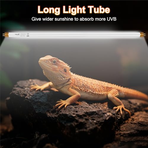 UVB Light for Reptiles Bearded Dragon, 3 Pack T5 UVB Reptile Light UVB Bulb 10.0 39W UVA UVB Reptile Light Bulb Terrarium Light Lamp Tube for Turtle Chameleon Leopard Gecko Snake Tank, 34 Inch - size: T5-34 Inch(3 Pack)