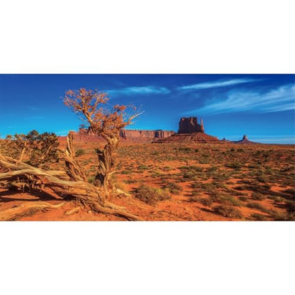 AWERT 36x18 inches Blue Sky Oasis Cactus Sun and Desert Terrarium Background Orange Reptile Habitat Background - size: 36x18in/90x45cm