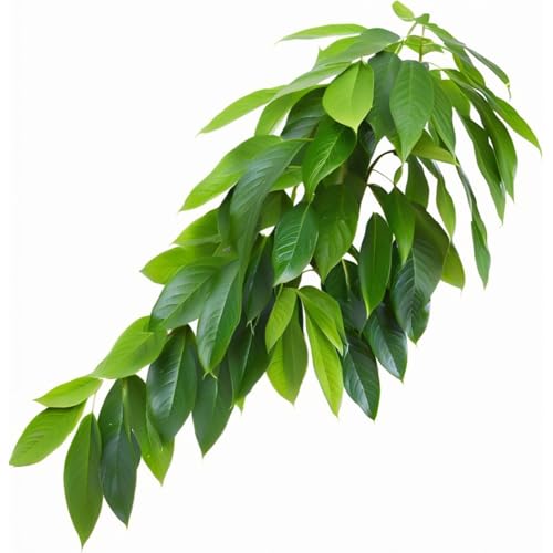 Reptile Terrarium Hanging Plant, Fake Plants for Reptile Enclosure, Ideal for Chameleon Bearded Dragon Lizard Leopard Gecko Crested Gecko Snake Tank Accessories, L=12 inches - size: Reptile Hanging Plant Style B