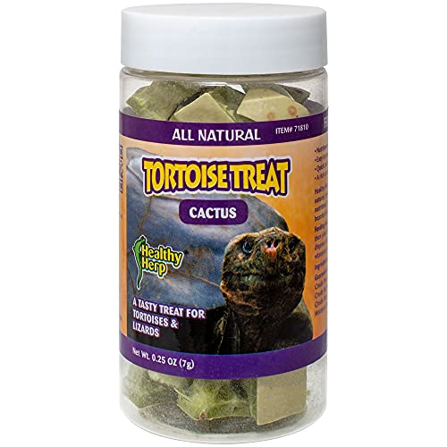 Healthy Herp Tortoise Treat Cactus, Nutritious Turtle Food - 0.25 oz (7.1g) | All Natural, Bearded Dragon Tank Accessories, Tortoise Habitat - for Bearded Dragons, Box Turtles, Aquatic Turtles