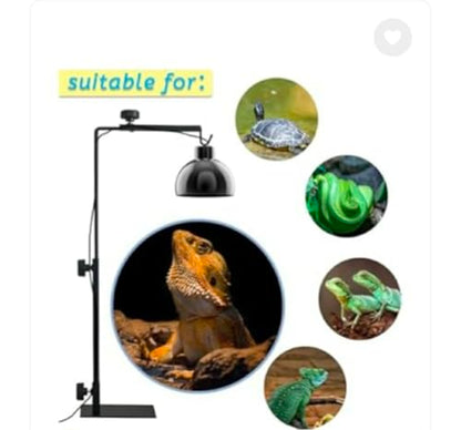 Reptile