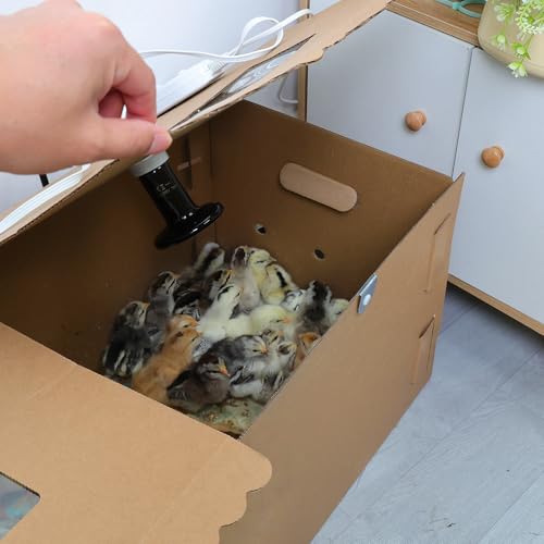 AsFrost 33" Extra Large Chick Brooder Box for 40 Chicks, Dual 75W No-Light Ceramic Heat Lamps, Adjustable Thermostat, 6 Waterproof Pads, Poultry Brooder for Quail, Rabbits & Reptiles