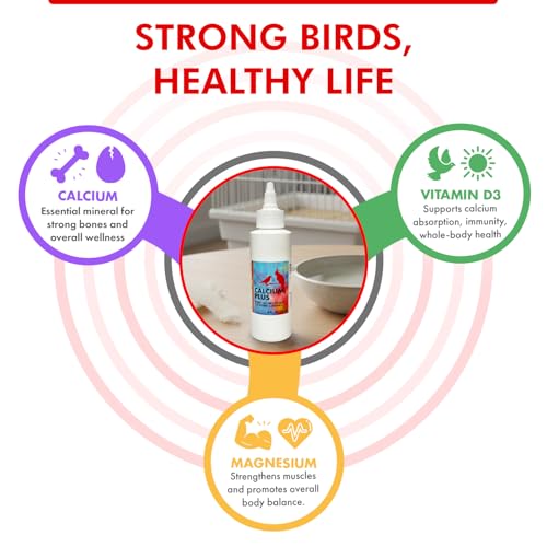 Morning Bird Calcium Plus Liquid for Birds – Calcium Supplement with Vitamins and Minerals for Strong Eggshells, Healthy Bones - Support Growth, Breeding, and Wellness for All Birds 4 Fl Oz - size: 4 Fl Oz