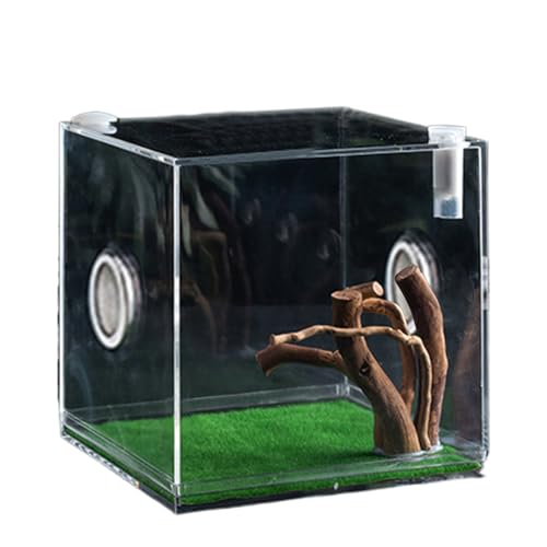 Acrylic Jumping Spider Terrarium - Reptile Growth Clear Container, Clearer View Small Pet Enclosure, Practical Convenient Spacious Habitat, Durable Housing Design Versatile Use | for Snails Lizards Be - color: Ash Green