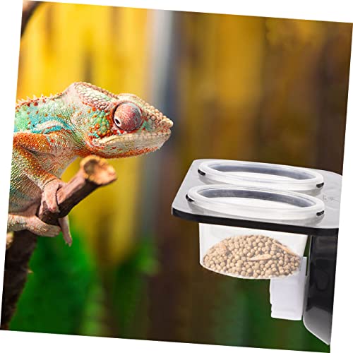 1set Practical Reptile Feeder for Geckos Double Cups Food Bowl Decor for Tank Easy to Clean