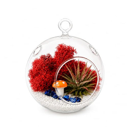 Creations by Nathalie - DIY Terrarium Kit with Live Air Plant (Local & Fresh from Florida), Reindeer Moss, Figurine, Healing Crystal Chips and Sand - Handmade in USA (4" Glass Globe) - color: 4" Glass Globe