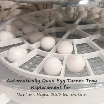 Egg Turner Tray Replacement fit for Nurture | sturdy plastic, fit for small quail eggs, 45 holders, perfect replacement, egg hatching tray