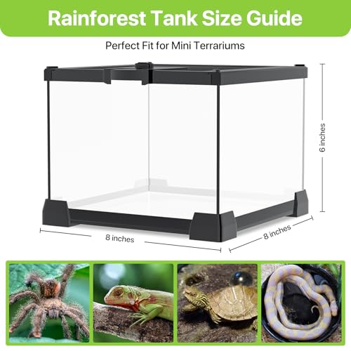 8.5" UVB 10.0 LED Light Bar + 8"x8"x6" Mini Glass Terrarium – UVA/UVB Lamp with Timer & Dimming, Ventilated Clear Habitat Enclosure for Jumping Spiders, Lizards, Turtles & Small Reptiles