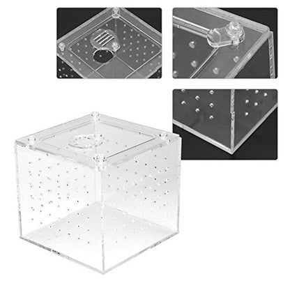 Reptile Breeding Acrylic Box Durable with Ventilation Holes for Snakes, Lizards, and Insects 3.9 * 3.9*.5in for Tarantulas, Geckos, and Crickets