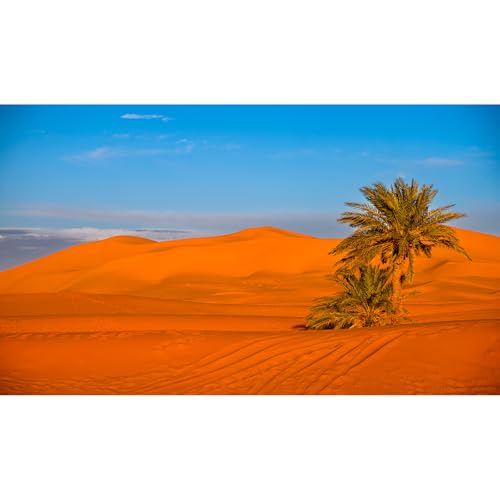 Desert Reptile Tank Background Majestic Sunset Desert Landscape Terrarium Background Desert Palm Tree Sand Dunes Reptile Habitat Background Sunrise Sahara Desert Aquarium Fish Tank Background 72x18in - size: 72(W)x18(H)inches/ 180(W)*45cm(H)