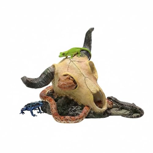 Dinosaur Skull Décor, Snake Accessories for Tank, Snake and Reptile Hideout, Lifelike Resin Crafts, Reptile Hides and Caves for Fish Bearded Dragon Salamander Ball Python Leopard Gecko(Style B) - color: Style B