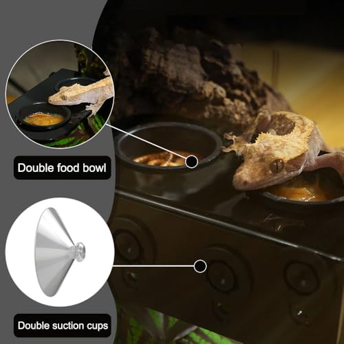 DONGKER Gecko Feeding Ledge,ABS Reptile Feeding Dish with 2 Pack Water Bowl & Suction Cup for Reptile Lizard Bearded Dragon