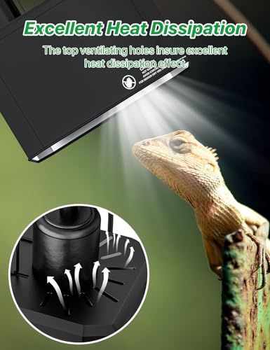 8.1" Dual Dome Reptile Light Fixture, Heat Lamp and UVB Bulb Holder with 2 Switches, ETL Certified E26 Ceramic Basking Lamp for 10-50 Gallon Terrariums, Bearded Dragons and Turtles - size: 8.1inch